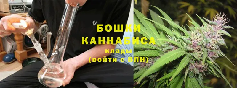 Каннабис OG Kush  Верхняя Пышма 